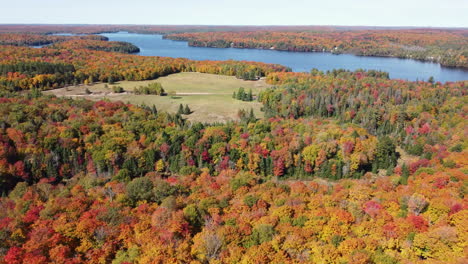 Aerial-Establishing-shot-of-Algonquin-park-landscape,-Colorful-forest-with-River-in-Background,-Canada