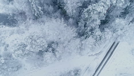 Snow-falling-at-Nordic-frozen-forest-in-winter-with-a-rail-road