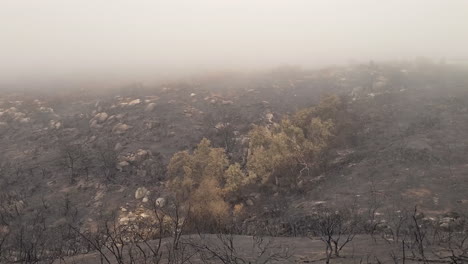 Aerial-over-the-aftermath-of-a-wildfire