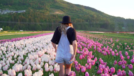 Woman-walking-away-through-field-of-tulips-with-large-hat-at-sunrise-in-nice-light-in-Abbotsford,-British-Columbia,-Canada