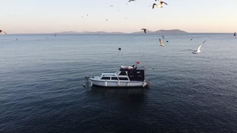 Seagulls-dance-around-a-private-motor-yacht-moored-off-the-coast-near-Istanbul,-Turkey