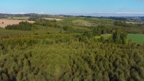 Aerial-view-of-a-czech-landscape-with-woods-and-distant-villages,-flying-askew