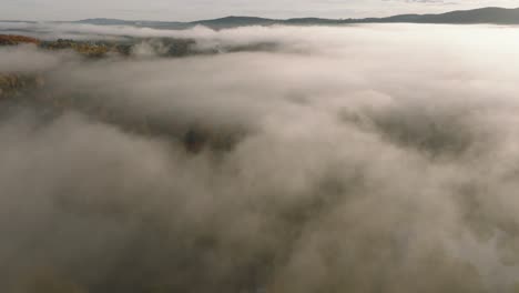 Wald-Im-Herbst,-Eingehüllt-Von-Nebel-Und-Wolken-Bei-Sonnenaufgang-In-Sherbrooke,-Kanada