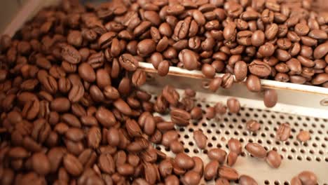 Freshly-roasted-aromatic-coffee-beans-pushed-out-of-a-roasting-machine---close-up-slow-motion