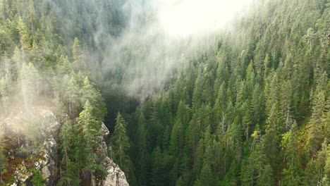 Aerial-pan-upwards-through-a-misty-canyon-with-a-river-flowing-below