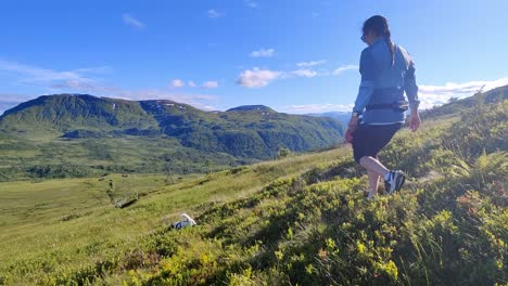 Jack-Russel-terrier-walking-in-lush-summer-mountain-landscape-before-female-owner-is-entering-frame-from-right---Svolefjell-mountain-and-blue-sky-background
