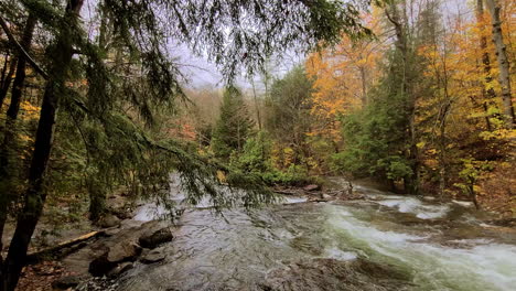 Natural-landscape,-River-flowing-down-the-lush-forest,-Autumn-colorful-leaves,-Dolly-sideways-shot
