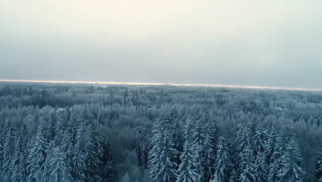 Nordic-frozen-forest-with-frozen-lake