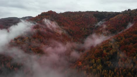 Aerial-flying-through-clouds-reveal-mountain-forest-with-autumnal-colors