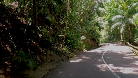 Driving-through-dense-lush-green-jungle-up-hills-through-forest-with-car-passing-by