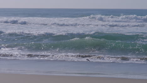 Abstürzende-Wellen-An-Einem-Sonnigen-Tag-In-Marina-State-Beach-Monterey-Bay-Kalifornien