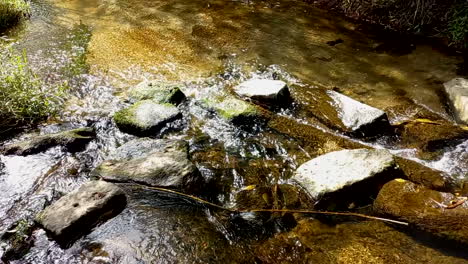 Agua-Transparente-Que-Fluye-En-Un-Pequeño-Arroyo,-Circulando-En-Las-Pequeñas-Piedras