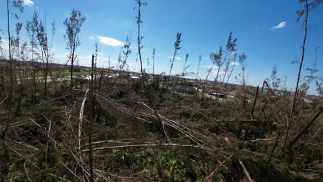 Bosque-De-Vista-Aérea-Y-árboles-Destruidos-En-La-Tormenta