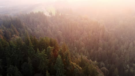 Luftdrohne-Rückwärts-Bewegende-Aufnahme-Von-üppiger-Grüner-Vegetation-Im-Bundesstaat-Washington-Während-Der-Herbstsaison-Im-Tal-Neben-Dem-Snoqualmie-River-Tagsüber