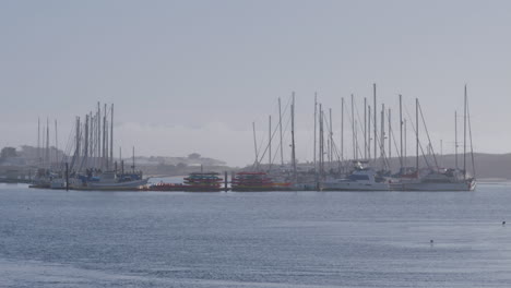 Zeitlupenaufnahme-Von-Segelbooten,-Die-In-Moss-Landing-Harbor,-Kalifornien,-Angedockt-Sind