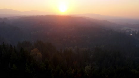 Stunning-drone-shot-of-rising-sun-above-green-forest-trees-in-Snoqualmie,-Washington-State,-USA-at-dawn