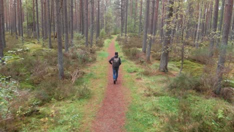 Drone-shot-of-man-hiking-in-a-pine-forest,-Drone-following-subject