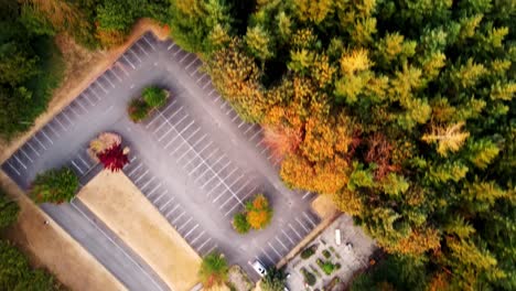 Aerial-drone-bird's-eye-view-over-cars-parked-in-a-parking-lot-along-lush-green-forest-along-hilly-terrain-in-Snoqualmie,-Washington,-USA-at-daytime