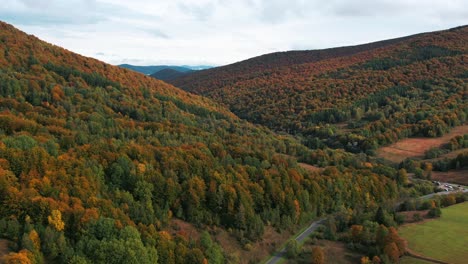 Aerial-Of-Autumn-Leaves-Paved-Road-On-A-Mountain-Full-Of-Trees