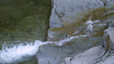 Silberlachs-Springt-über-Felsen,-Kämpft-Sich-Kleinen-Wasserfall-Zu-Laichplätzen-Hinauf