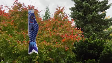 Japanese-koi-carb-wind-sock-blowing-in-the-wind-during-rain