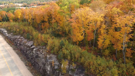 Verschiedene-Schöne-Laubvegetationen-Entlang-Des-Weges,-Ruhige-Herbstsaison-Im-Algonquin-Provincial-Park,-Region-Muskoka