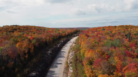 Drone-flying-over-Highway-60-corridor-road-through-Algonquin-Provincial-Park-during-fall-season-and-revealing-the-vast-landscape