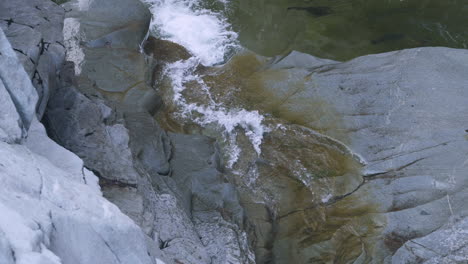 Ein-Kleiner-Wasserfall-Fließt-In-Ein-Flaches-Becken,-Das-Mit-Wild-Laichenden-Silberlachsen-Gefüllt-Ist