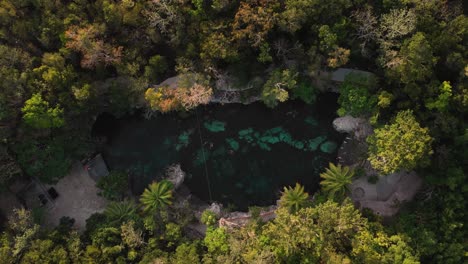 Cinematic-aerial-top-down-shot-of-drone-flying-upward-of-mirrored-turquoise-Cenote-Casa-Tortuga,-Tulum