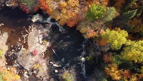 Von-Oben-Nach-Unten-Vogelperspektive-Luftaufnahme-Herbstliche-Bäume-Und-Natur,-Kanada