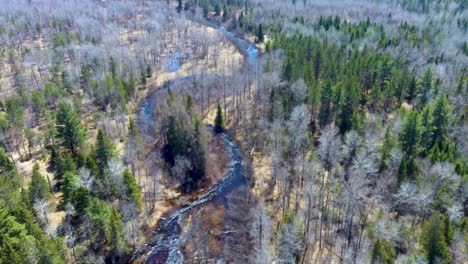 4K,-30fps-Drone-shot-of-flowing-Black-River-in-Pigeon-River-Forest-of-Northern-Michigan-in-spring
