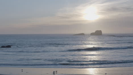 Stationary-shot-of-seagulls-flying-in-slow-motion-while-sunsetting-in-the-background-of-Elephant-Seal-Vista-Point-Beach