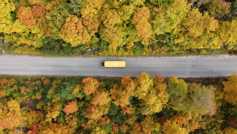 Top-down-aerial-shot-of-a-private-car-crossing-through-autumn-color-scenic-road-of-Algonquin-Park