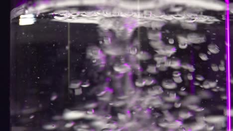 Erfrischendes-Wasser-Wird-In-Wasser-Gegossen,-Wodurch-Blasen-Entstehen,-Die-Violett-rosa-Blasen-Aus-Dem-Strom-Leuchten.-Verwenden-Sie-Masse,-Um-Wasser-Im-Behälter-Zu-Verdrängen,-Wodurch-Tanzende-Luftblasen-Entstehen