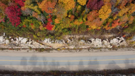 sliding-right-looking-down-on-straight-road-on-edge-of-colourful-autumn-forest