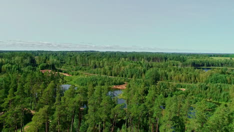 Aerial-drone-forward-moving-shot-over-a-lake-in-the-middle-of-the-forest-with-green-trees-on-a-sunny-day