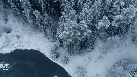 Aerial-drone-shot-over-frozen-lake-surrounded-by-coniferous-trees-along-snow-covered-landscape-on-a-cloudy-day