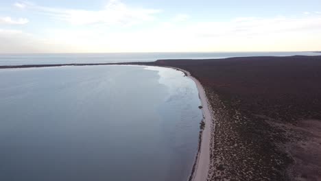 Die-Gewässer,-Inseln-Und-Halbinseln-Der-Shark-Bay-Weisen-Eine-Reihe-Außergewöhnlicher-Naturmerkmale-Auf,-Darunter-Eines-Der-Größten-Seegraswiesen-Der-Welt