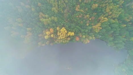 Blick-Von-Oben-Auf-Den-Herbstlichen-Waldpark,-Der-Neblige-Wolken-Umhüllt
