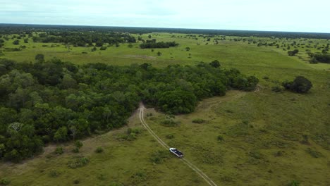 Drone-Vista-De-Jeep-Con-Turista-En-Un-Safari-Salvaje---Pantanal,-Brasil