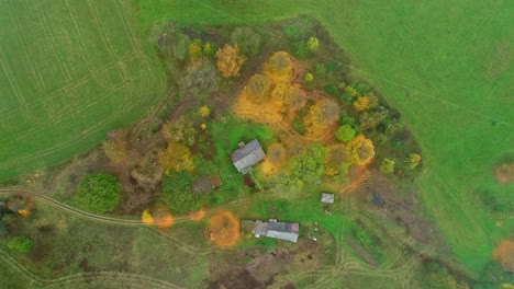 Aerial-drone-top-down-shot-of-cottages-surrounded-by-green-grasslands-at-daytime