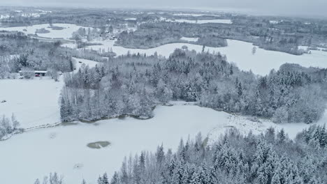 Aerial-flyover-icy-and-snowy-winter-landscape-with-fields-and-trees-in-winter-season