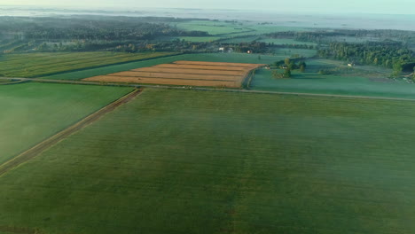 Establishing-drone-shot-early-morning-fog-on-farmland-and-fields-in-nature