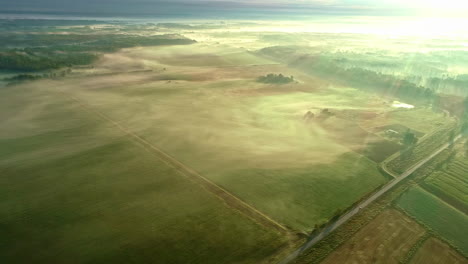 Aerial-drone-forward-moving-shot-over-green-farmlands-with-white-clouds-passing-by-during-morning-time