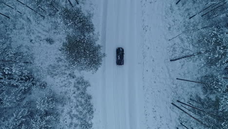 Aerial-drone-bird's-eye-view-of-a-black-car-driving-through-winter-snow-covered-forest-road