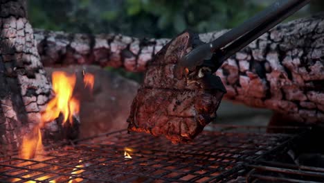 Prime-cut-T-bone-steak-being-flame-grilled-on-a-wood-fire-and-handled-with-tongs