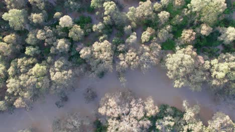 Vista-Vertical-De-Drones-Sobre-El-área-De-Yarra-Flats-Inundada-Con-Agua-De-Inundación-El-14-De-Octubre-De-2022