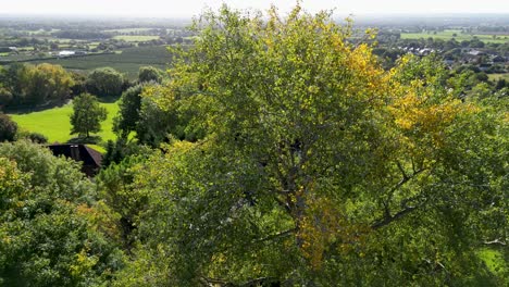 Sich-Langsam-Bewegende-Enthüllungsaufnahme-Der-Wunderschönen-Landschaft-Von-Kent-In-Sutton-Valence