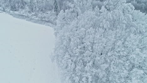 Luftaufnahme-Von-Bäumen-Und-Feldern,-Die-Bei-Starkem-Winterwetter-Mit-Weißem-Schnee-Bedeckt-Sind