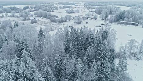 Aerial-drone-backward-moving-shot-of-village-cottage-along-snow-covered-winter-landscape